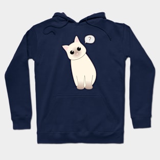 Confused Cat Hoodie